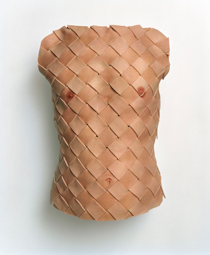Anders KrisárCuirass, 2005. Silicone paint on silicone, mounted on fiberglass, with board, plastic padding, brass screws, screw eyes, steel wire, and 