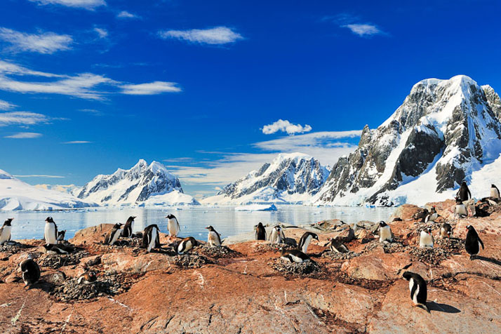 Goudier island, Antarctica.photo © David De Vleeschauwer, Classe Touriste.