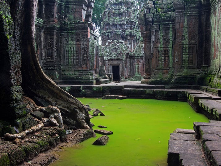 Ta Prohm Temple, Angkor Wat, Cambodia.photo © Peter Nijenhuis.