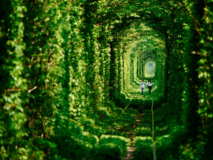 The 'Tunnel of LOVE' near the town of Klevan in Ukraine.photo © Amos Chapple.
