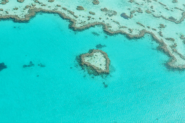 Heart Reef, Great barrier Reef, Australia.photo © Martin Wasilewski.