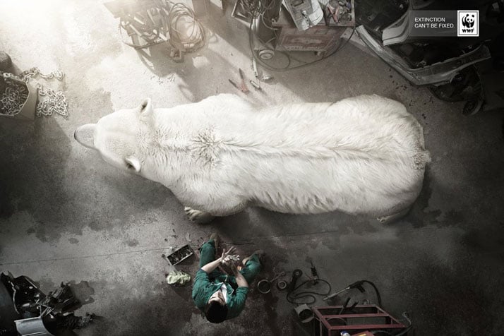 EXTINCTION CAN'T BE FIXED ad campaign by BBDO, Spain for WWF. Release date: August 2013.
