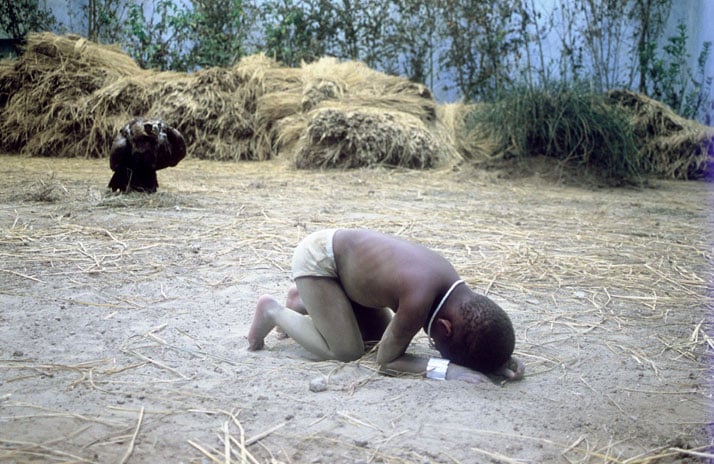 Xu Zhen, The Starving Sudan, 2008Installation, performance, photography