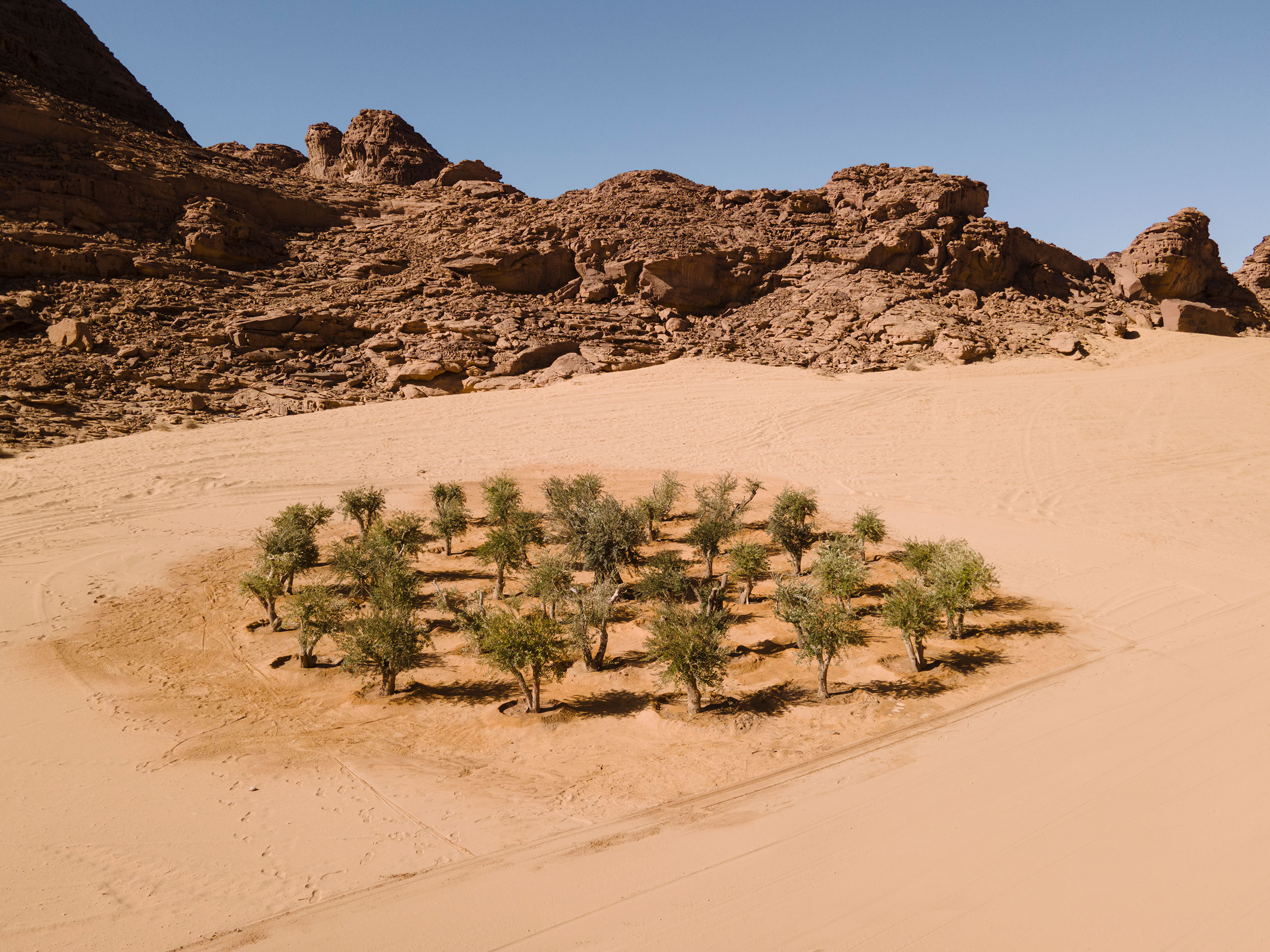 Khalil Rabah, Grounding, installation view, Desert X AlUla 2022. Courtesy of the artist and Desert X AlUla. Photo Lance Gerber.