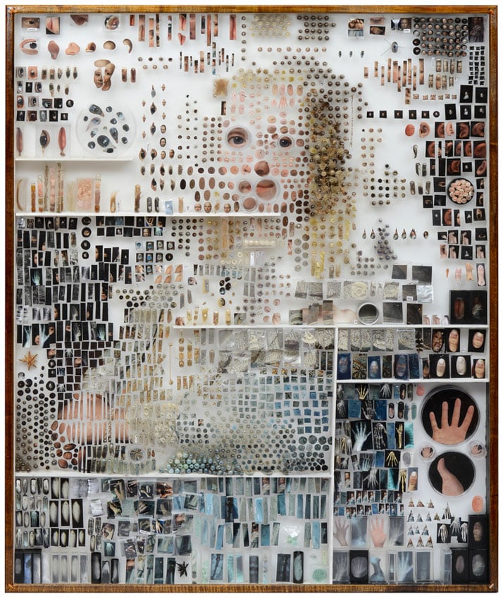 Michael Mapes, Blauw-girl, 201428"w x 34h x 3.5dphotographs, painted photographs, fabric samples, rope, sand, coffee, tea, tea bags, sugar, driftwood, hair, cast resin, plastic boxes, doll parts, thread, insect pins, gelatin capsules, specimen bags, petri dishes, magnifying boxes