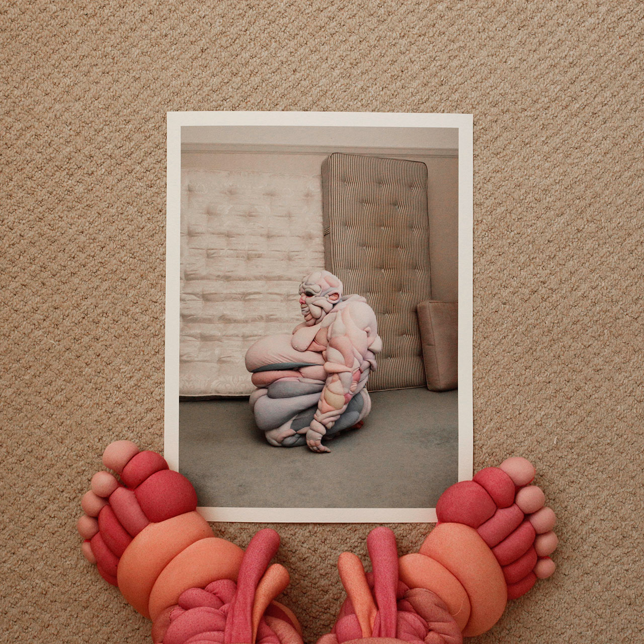 Daisy Collingridge, Hillary's feet on Clive, 2019. Photo by Daisy Collingridge.