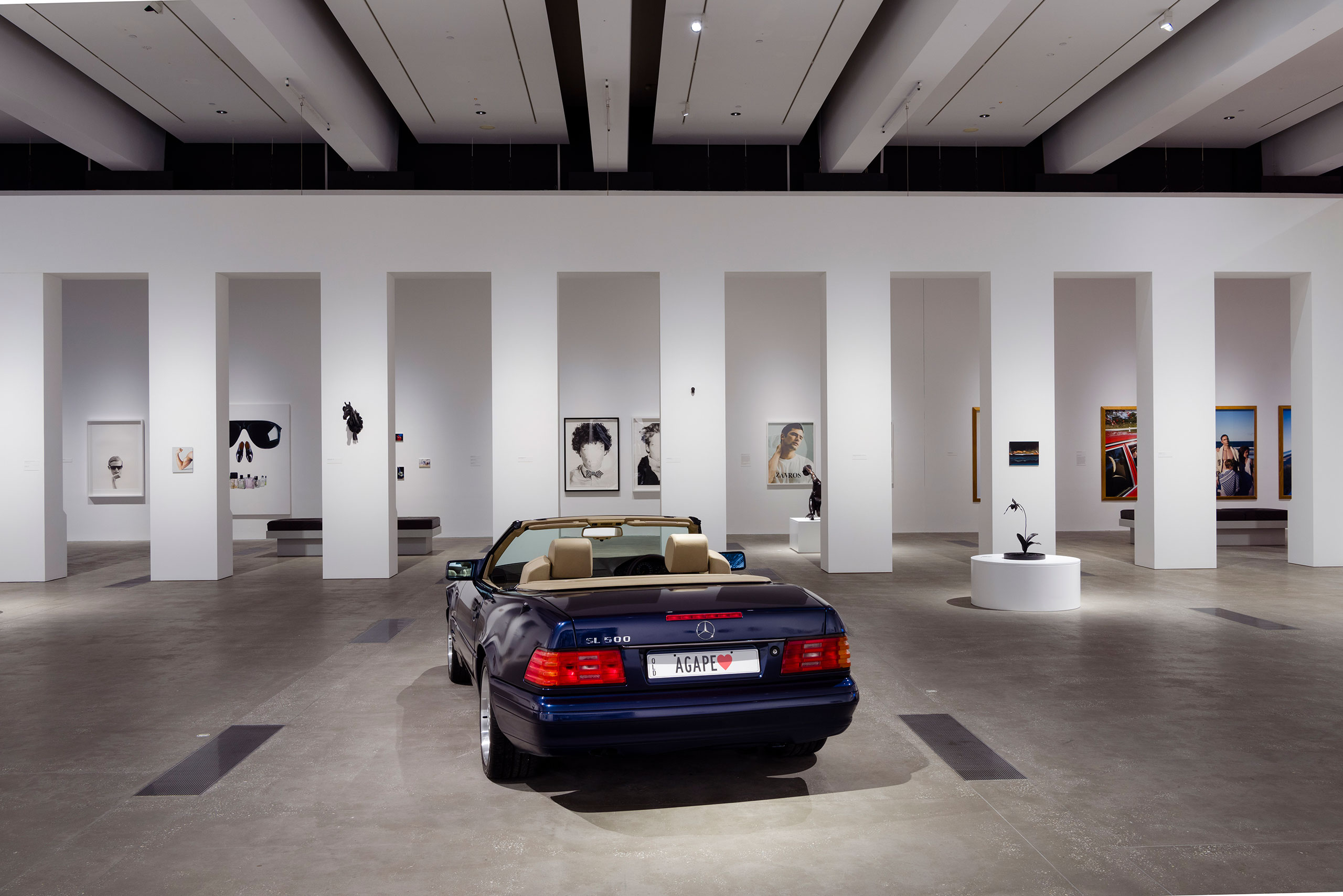 Installation view of ‘Michael Zavros: The Favourite’ at Gallery of Modern Art, Brisbane, 2023. © Michael Zavros. Photography by Joe Ruckli. © QAGOMA 