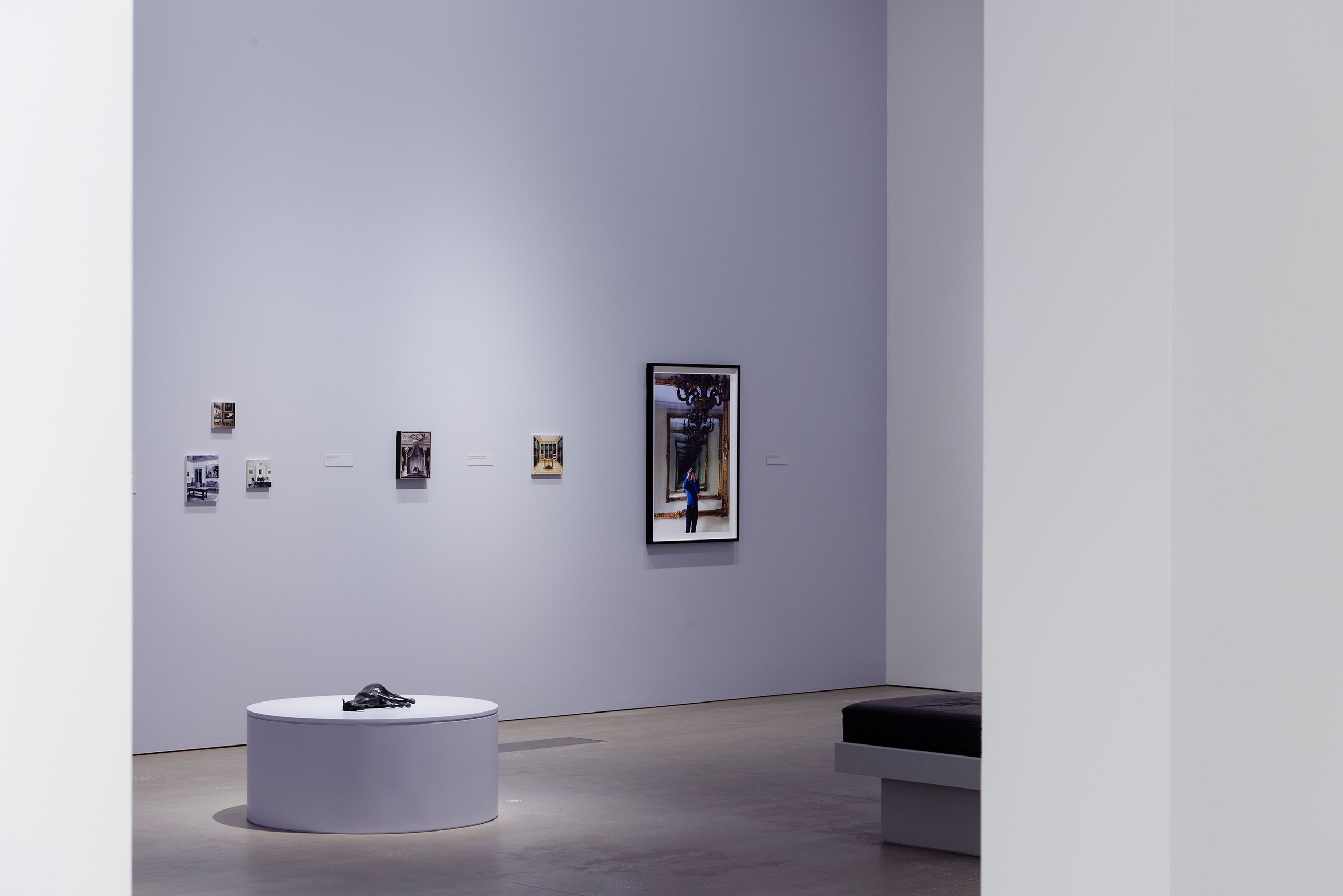 Installation view of ‘Michael Zavros: The Favourite’ at Gallery of Modern Art, Brisbane, 2023. © Michael Zavros. Photography by Joe Ruckli. © QAGOMA 