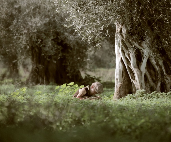 A Visual Journey into the Olive Groves of Crete