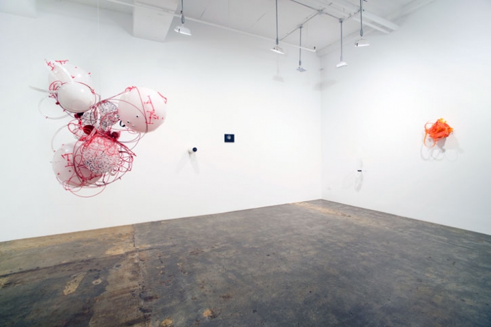 Sofi Zezmer / Installation View “Remote Control” / 2010 Courtesy of Mike Weiss Gallery, New York