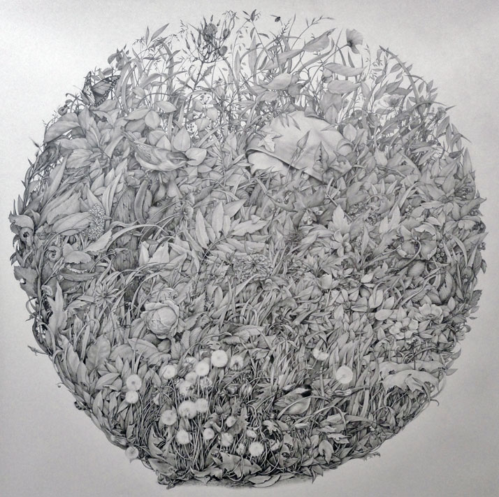 Circular Portrait (after Hans Holbein) (detail), Graphite on paper, 50 x 50 inches, 2011. DISAPPEARANCES 2011. Image Courtesy of Zachari Logan