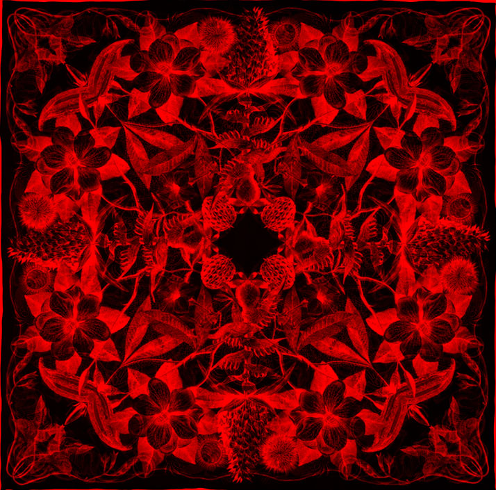 RED composition of scarf Jungla // Courtesy of Carnovsky