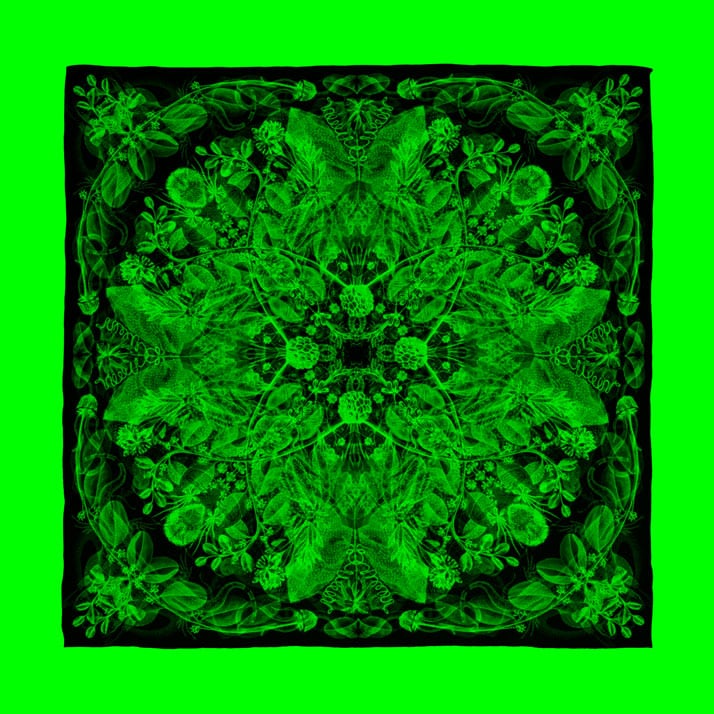 围巾 Rosone 的绿色组合// Carnovsky 提供