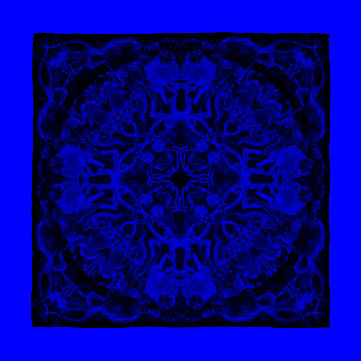 BLUE composition of scarf Rosone // Courtesy of Carnovsky
