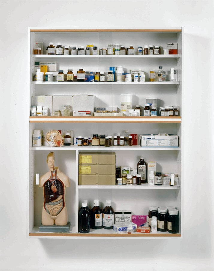Damien Hirst     Sinner 1988 Glass, faced particleboard, ramin, plastic, aluminium, anatomical model, scalpels and pharmaceutical packaging  © Damien 