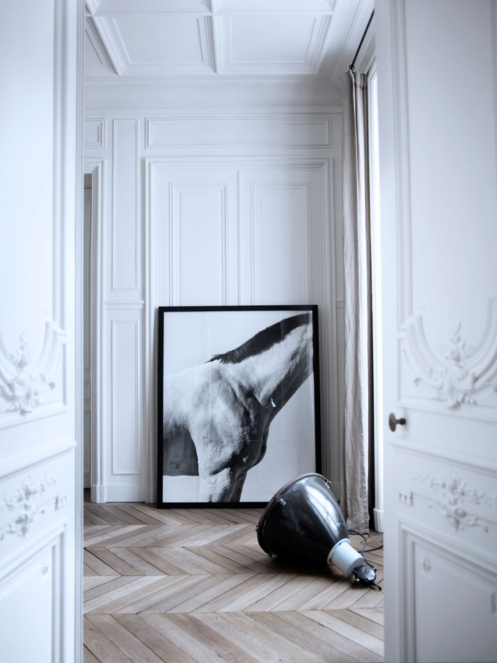 A picture of a horse by Steven Klein, photo © Sisters Agency / Birgitta Wolfgang Drejer.