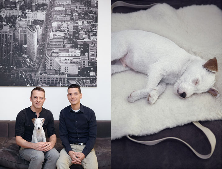 Andreas, Carsten &amp; Atze  on a TRAVEL dog bed, photo © Janne Peters.