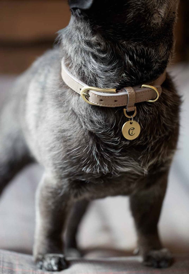 Collar Tiergarte-Taupe, photo © Cloud 7.