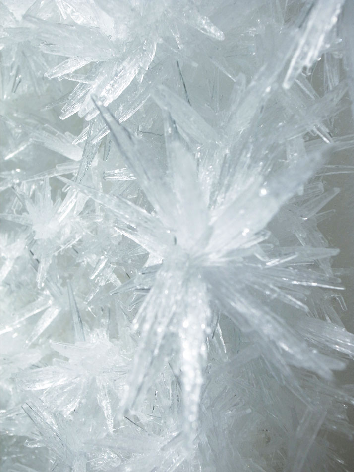 Tokujin Yoshioka, Swan Lake 2013 (Crystallized painting - detail).photo © MOT / Museum of Contemporary Art Tokyo.