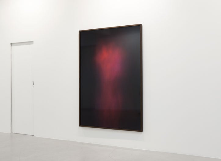 Anders Krisár, Flesh Cloud (Photogram #3), 2014 Chromogenic print, mounted to aluminum and framed, 125â×â180 cmPhoto © Christian Larsen, Stockholm, Sweden.