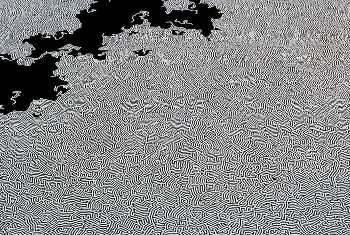Motoi Yamamoto, Labyrinth (detail)salt / 7.2×7.2mForce of Nature, Artist in ResidenceHalsey Institute of Contemporary Art, Charleston, SC, U.S.A.October - December. 2006