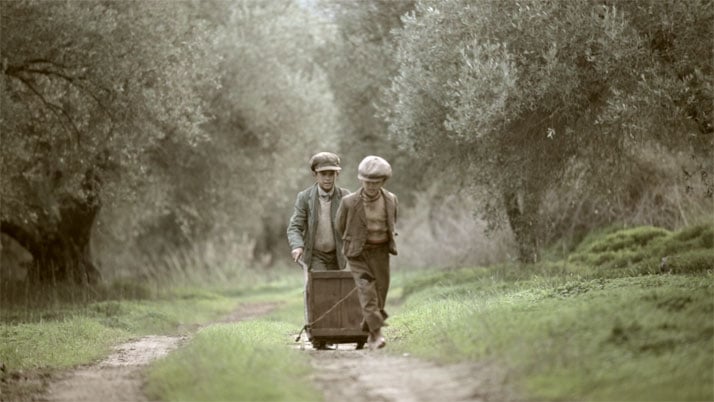 ''The Olive Tree Will Always Be Here'' film still, © Indigo View &amp; GAEA.
