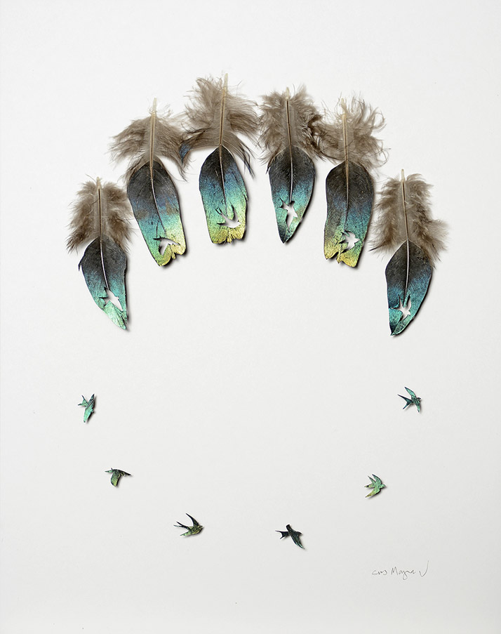 Circle of Flight; Impeyan pheasant feathers, 14 by 11 inches. Photo © Chris Maynard.