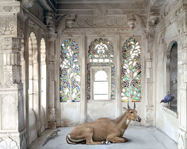 Karen Knorr, A Place Like Amravati, Udaipur City Palace, Udaipur. From the book India Song © Skira Editore. Courtesy of the artist.