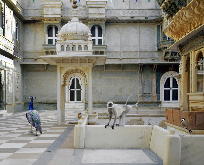 Karen Knorr, The Courtyard Conference, Udai Vilas, Dungarpur. From the book India Song © Skira Editore. Courtesy of the artist.