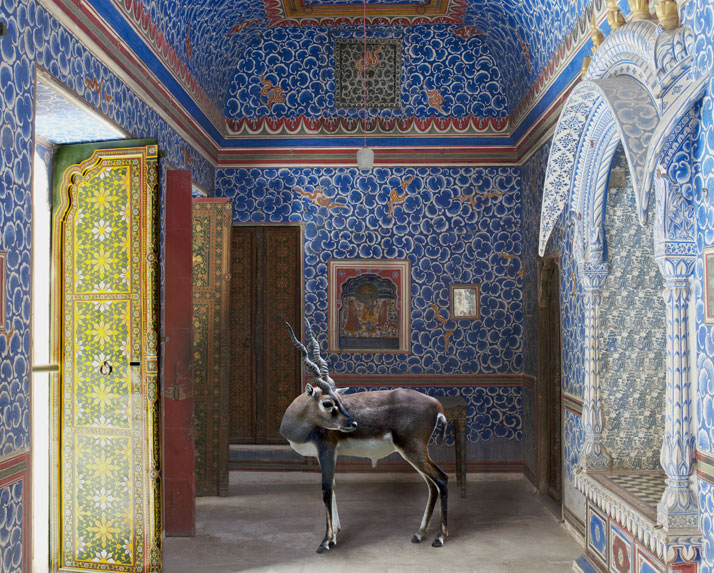 Karen Knorr, The Sound of Rain, Junagarh Fort, Bikaner. From the book India Song © Skira Editore.