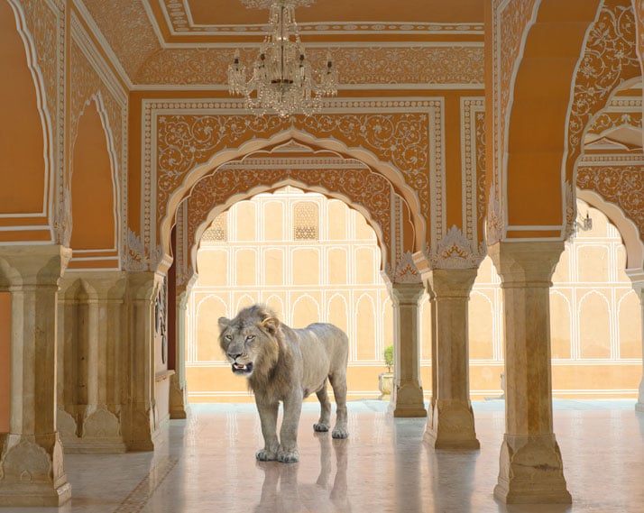 Karen Knorr, The Last Lion, Diwan-I-Khas, Jaipur City Palace, Jaipur. From the book India Song © Skira Editore.