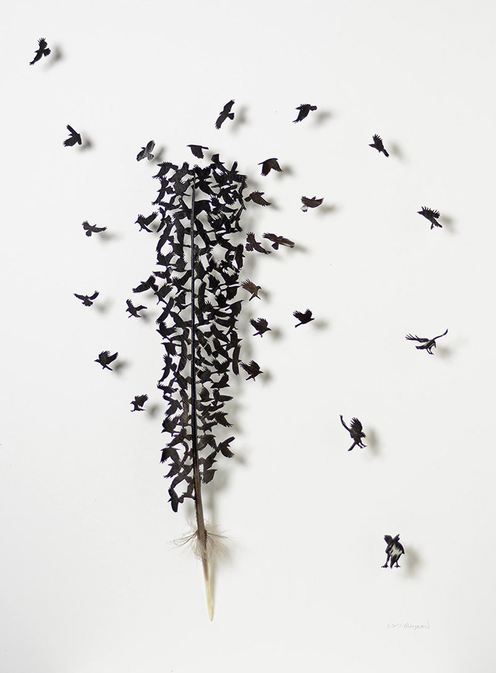 Crow Roost; Capercaillie Grouse tail feather, 22 by 19 inches. Photo © Chris Maynard.