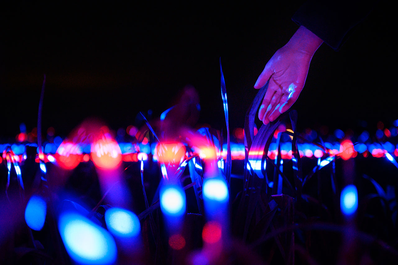 Photography © Daan Roosegaarde