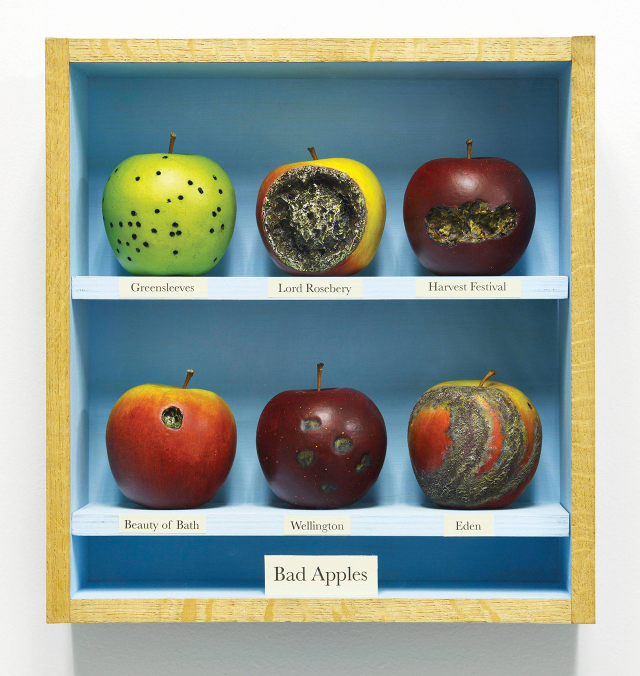 BAD APPLES by John Dilnot 2010, 30 × 28 × 10 cm Acrylic, wood, glass, paper. Courtesy of Tom Buchanan and 8 Books.