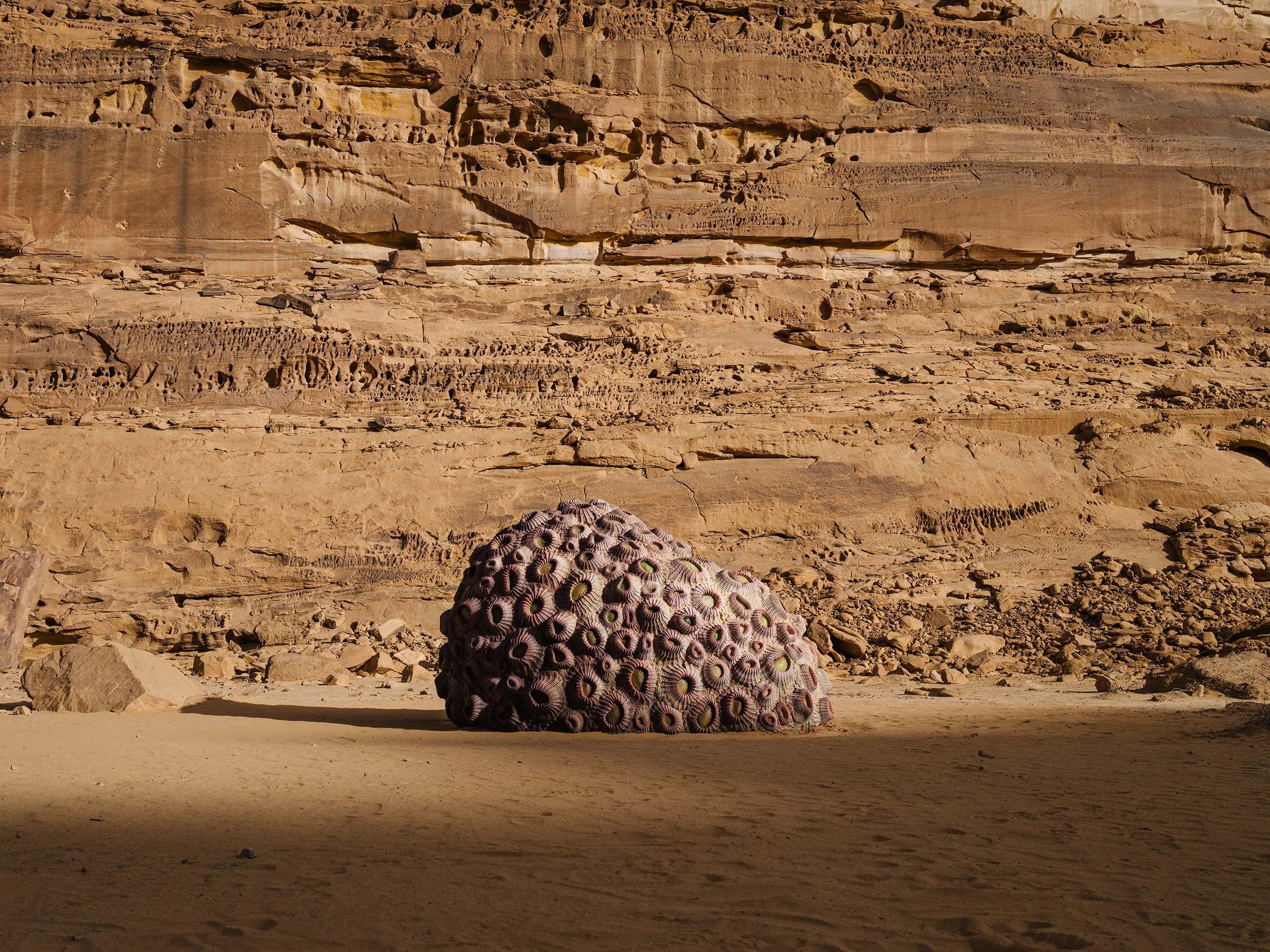 Shezad Dawood, Coral Alchemy II (Porites Columnaris), installation view, Desert X AlUla 2022. Courtesy of the artist and Desert X AlUla. Photo Lance Gerber.