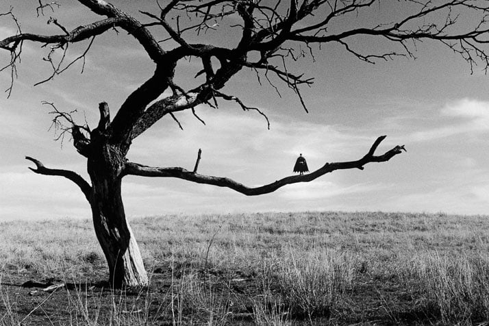 Rémi Noël, Perched on a tree, Texas. Courtesy of the artist.
