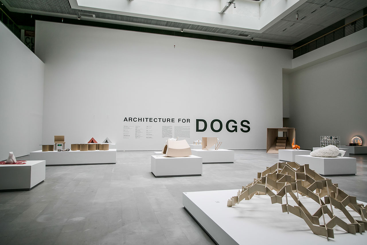 'Architecture for dogs' exhibition. Installation view. Photo by Ding Yifei.