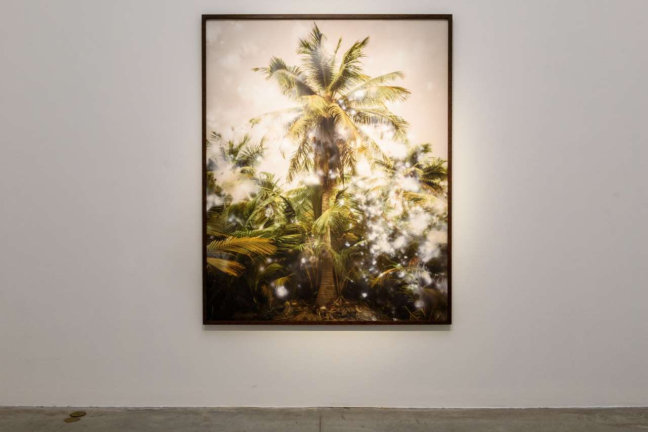 Julian Charrière, All We Ever Wanted Was Everything and Everywhere, installation view. MAMbo – Museo d’Arte Moderna di Bologna. Photo by Giorgio Bianchi, Comune di Bologna.