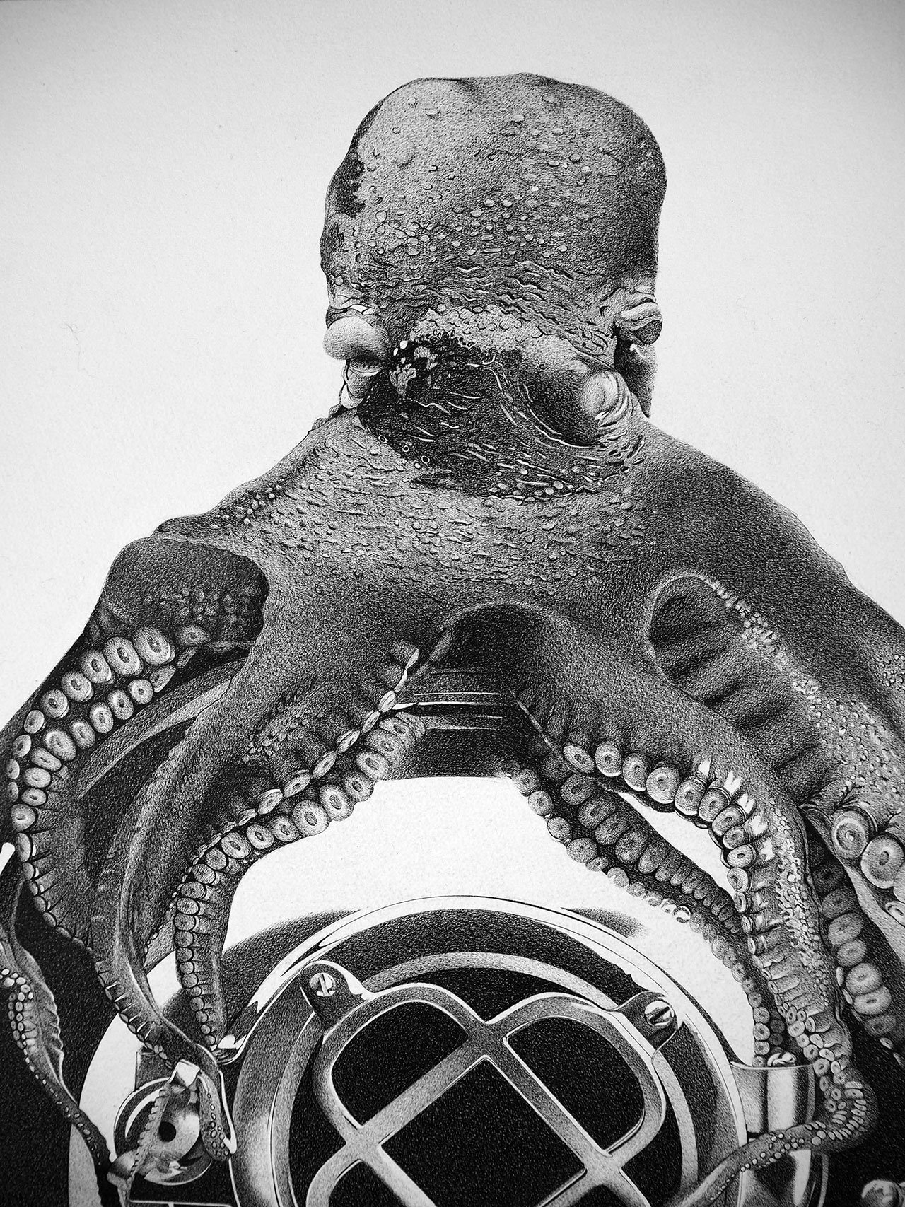 Alessandro Paglia, OCTOPUS (detail), 75 x 100 cm.