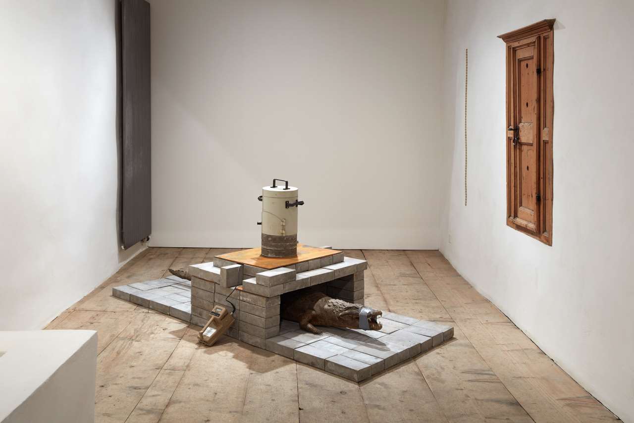 Julian Charrière, Savannah Shed, 2016. Concrete, steel, detector shield, scintillation spectrometer, caiman. Private Collection, Switzerland.