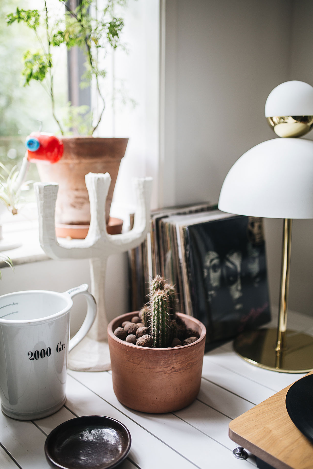 PLANT TRIBE LIVING HAPPILY EVER AFTER WITH PLANTSBy Igor Josifovic &amp; Judith de Graaff
Photo: The home of Maurício Arruda in São Paulo, Brazil.Photography by Jules Villbrandt for Urban Jungle Bloggers.