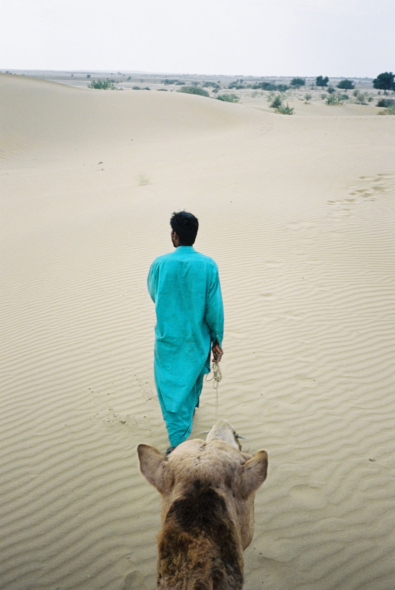 A Pocket of India, photo © Julian Lucas.