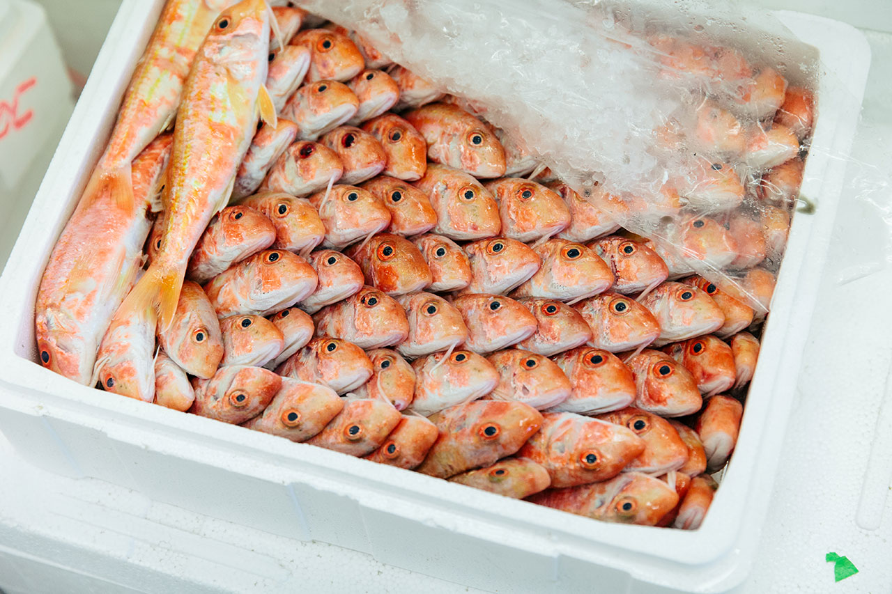 Fishes at the Central Market of Athens, Greece. Photo © Paris Tavitian for EMBRACE by Vezené.