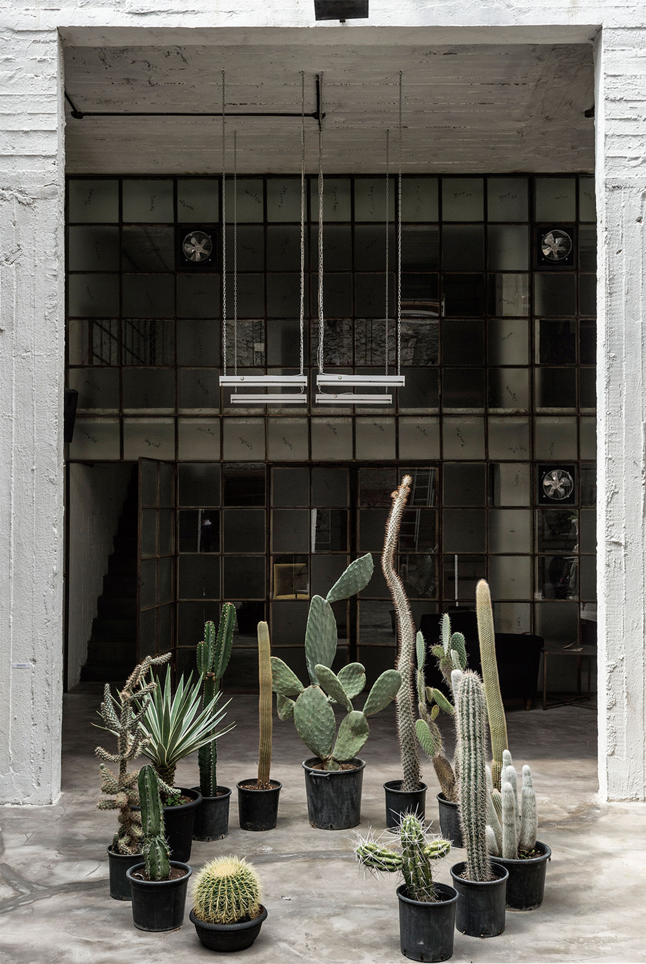 Thalia Raftopoulou, The Dance Floor III, 2016, installation with cactus.
Pirée, Piraeus, Greece. Styling by Costas Voyatzis, photo by Kosmas Koumianos for Yatzer.com, © Pirée, 2016.