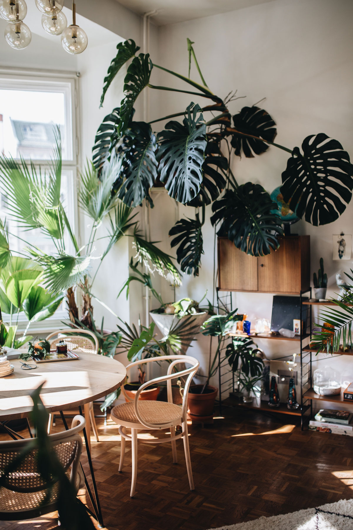 PLANT TRIBE LIVING HAPPILY EVER AFTER WITH PLANTSBy Igor Josifovic &amp; Judith de Graaff
Photo: The home of Tim Labenda In Berlin.Photography by Jules Villbrandt for Urban Jungle Bloggers.