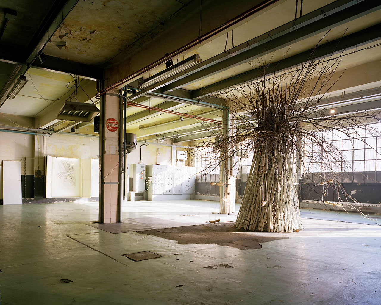 SINFLEX. Excerpt 2006/2007. The End of the Last Nest of Power. Photo by Pierpaolo Ferrari.