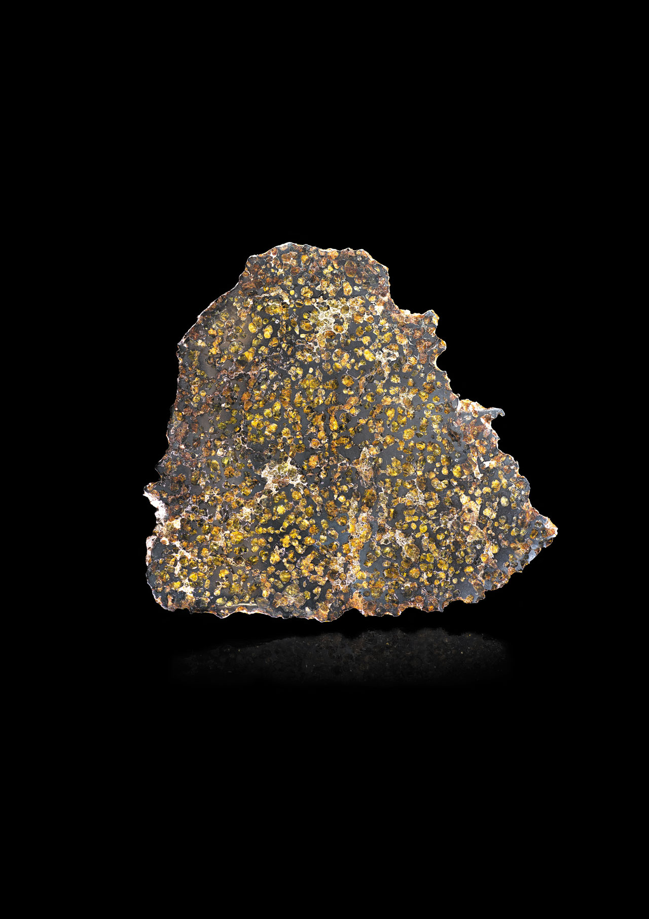 Meteorite, "Pallasite" Variety. Springwater, Saskatchewan, Canada. Unknown fall date; found 1986, Courtesy of MNHN Collection.