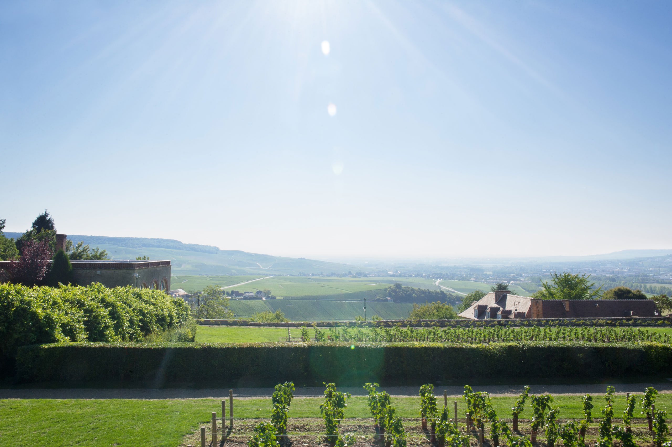 The view from the Abbey of Saint-Pierre in Hautvillers, France, photo by Costas Voyatzis for Yatzer.