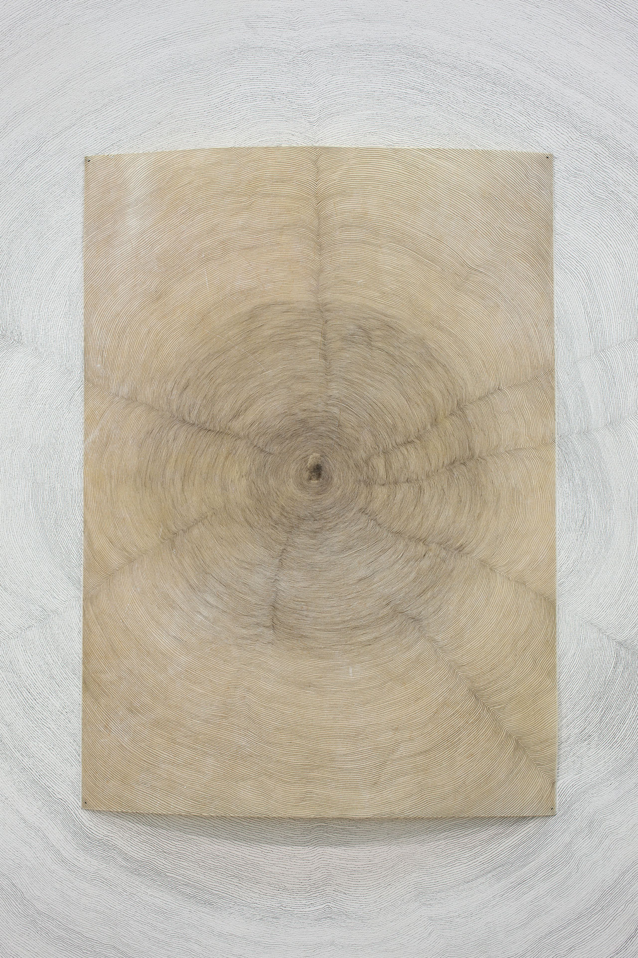 Giuseppe Penone, Propagazione, 2011. Pencil on vellum and ink on canvas, 300 x 400 cm, photo © Cathy Carver. Courtesy the artist and Marian Goodman Gallery, New York, Paris &amp; London.