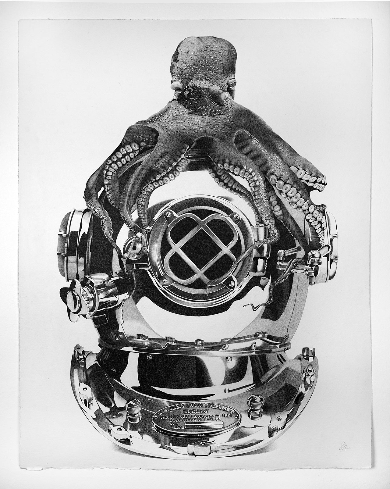 Alessandro Paglia，章鱼，75 x 100 厘米。
